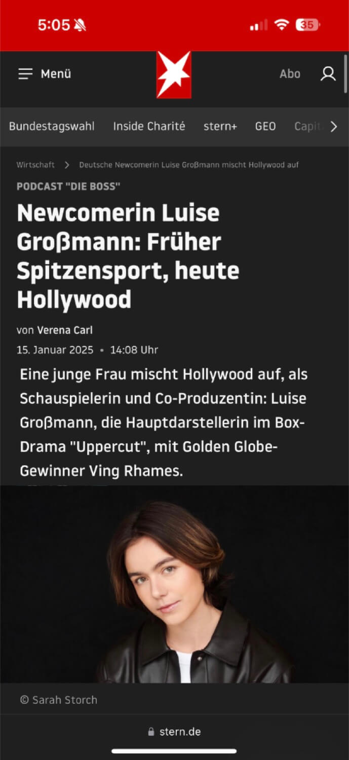 Screenshot of a positive review for UPPERCUT MOVIE in Stern